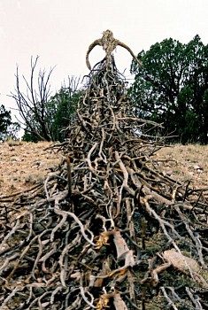 Artist:&nbsp;Kathy Bruce