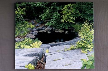 Artist:&nbsp;Janice Anthony