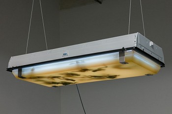 Artist:&nbsp;Dora Budor